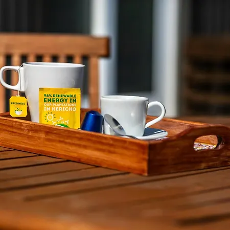 Apartment Bonjardim Terrace Porto